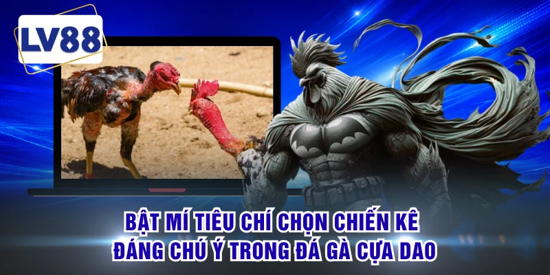Bật mí tiêu chí chọn chiến kê đáng chú ý trong đá gà cựa dao