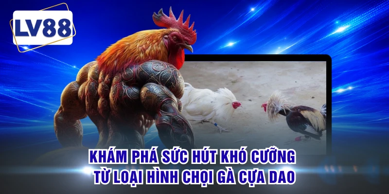 Khám phá sức hút khó cưỡng từ loại hình chọi gà cựa dao