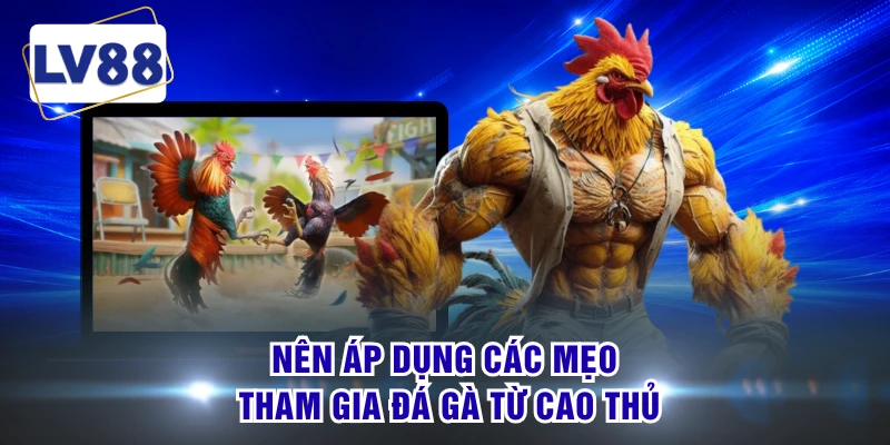 Nên áp dụng các mẹo tham gia đá gà từ cao thủ