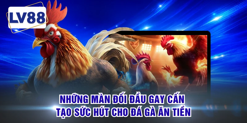Những màn đối đầu gay cấn tạo sức hút cho đá gà ăn tiền