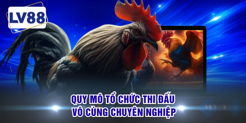 Quy mô tổ chức thi đấu vô cùng chuyên nghiệp