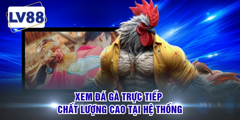 Xem đá gà trực tiếp chất lượng cao tại hệ thống